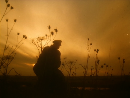 Shot of the Day - January 27, 2016