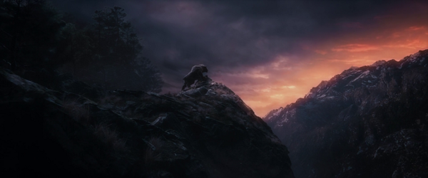 Shot of the Day - December 20, 2014