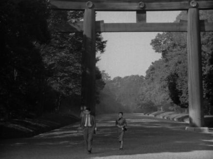 Shot #621966