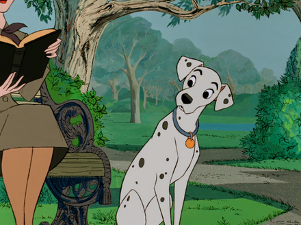 Perdita