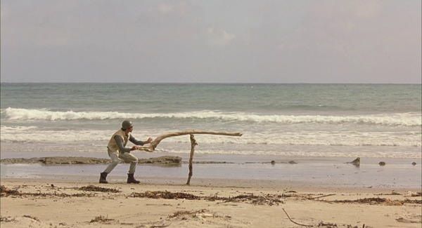 Shot #431981