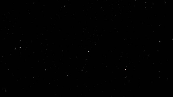 Shot #306013