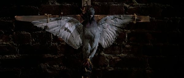 Shot of the Day - September 10, 2021