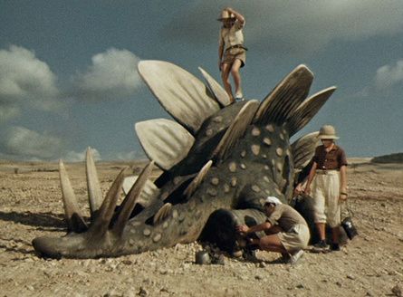 Shot of the Day - January 05, 2014
