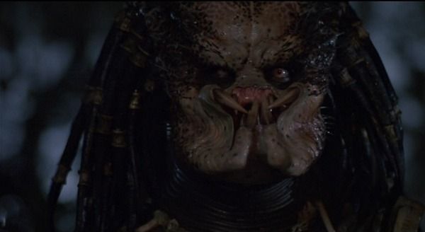 The Predator