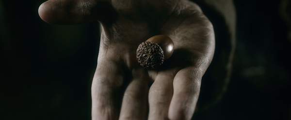 The Hobbit: The Battle of the Five Armies