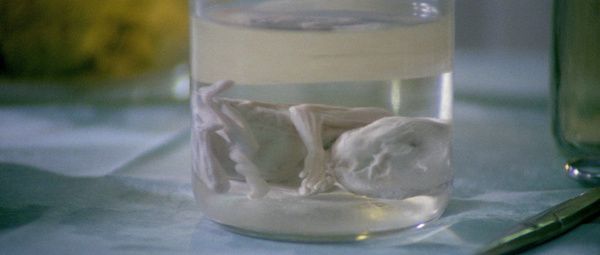 Zombi 2