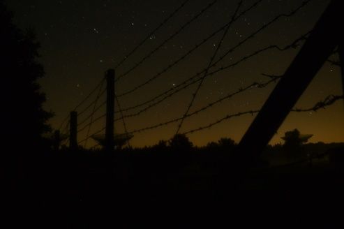 Shot #410279