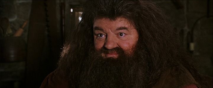 Shot from Harry Potter and the Chamber of Secrets