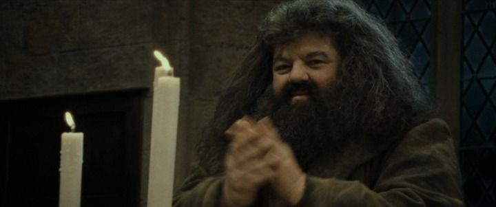 Shot from Harry Potter and the Deathly Hallows: Part 2
