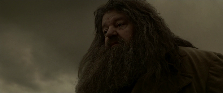 Shot from Harry Potter and the Half-Blood Prince