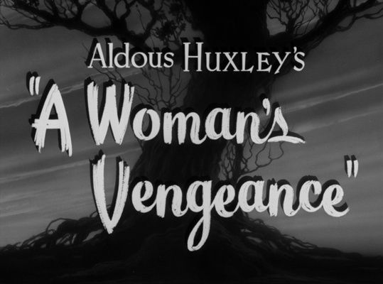 Title screen of A Woman's Vengeance