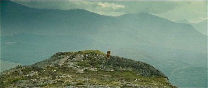 Best snapshot from Lassie