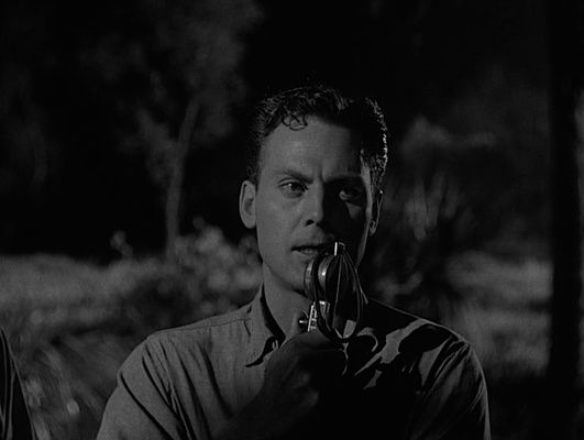 Shot from Revenge of the Creature