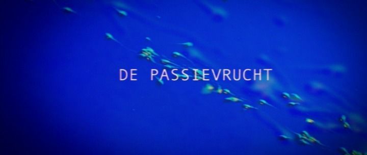 Title screen of De passievrucht