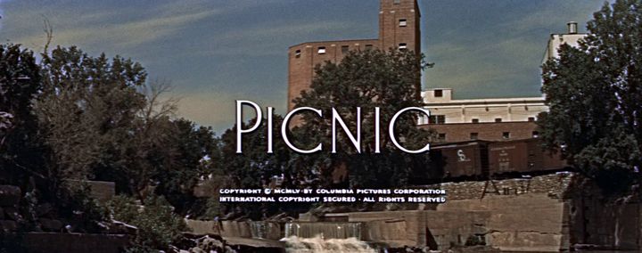 Title screen of Picnic