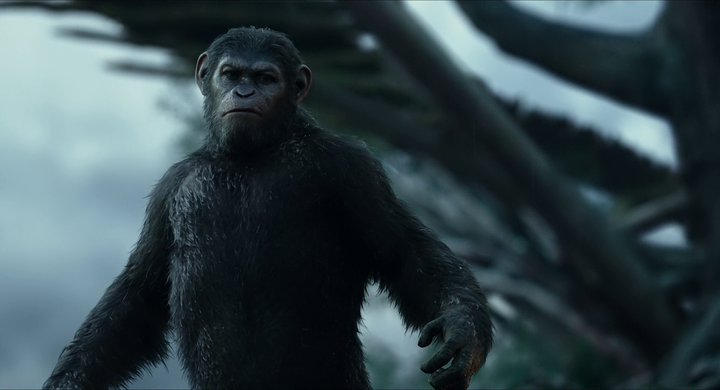 Shot from Dawn of the Planet of the Apes