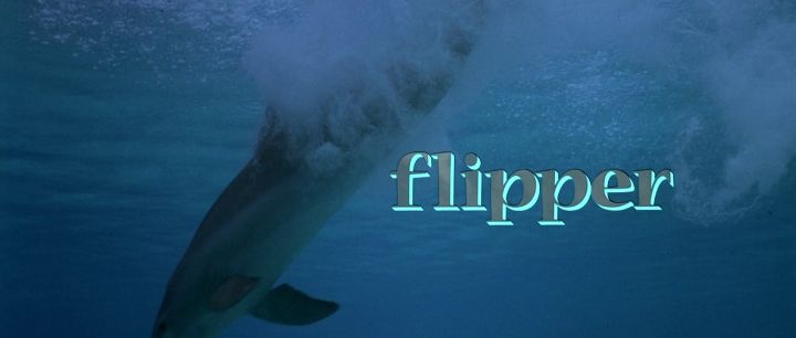 Title screen of Flipper