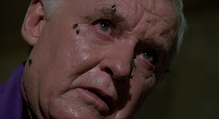 Shot from The Amityville Horror