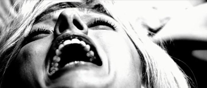 Best snapshot from Stiletto