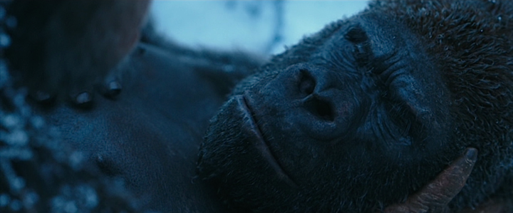 Shot from War for the Planet of the Apes