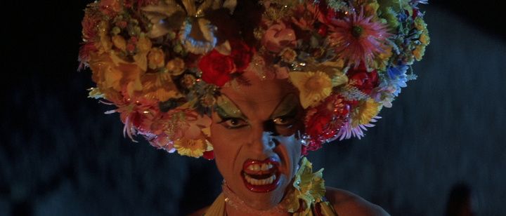 Shot from The Adventures of Priscilla, Queen of the Desert