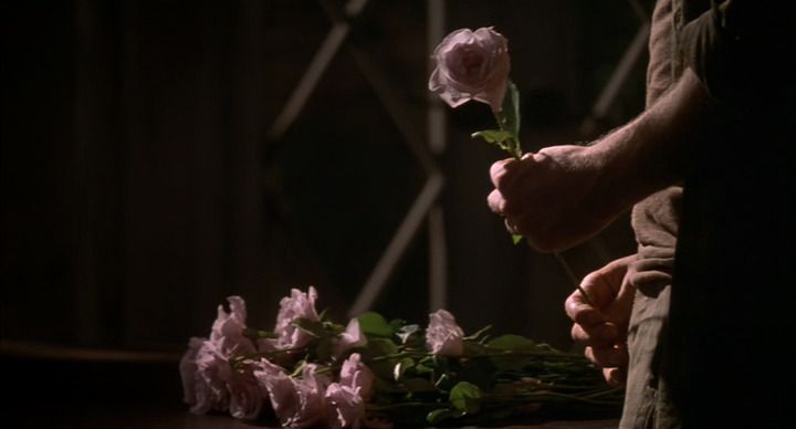 Best snapshot from Bed of Roses