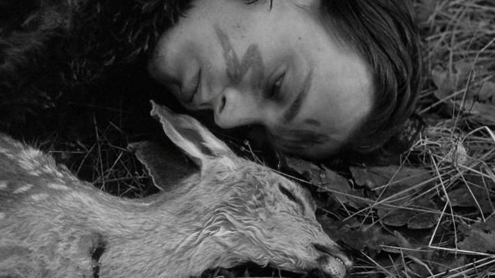 Shot from Dead Man