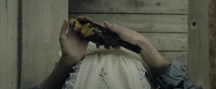 Best snapshot from The Curse of Audrey Earnshaw