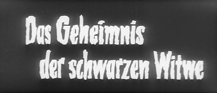 Title screen of Das Geheimnis der schwarzen Witwe