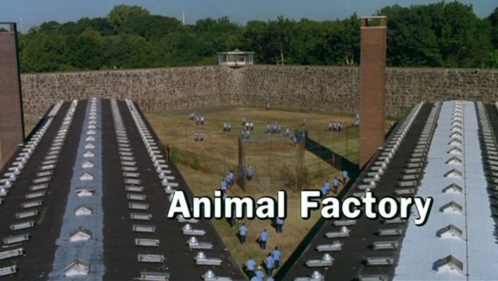 Title screen of Animal Factory