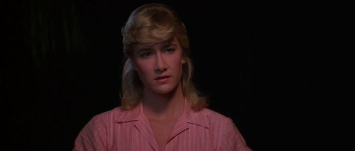Shot from Blue Velvet