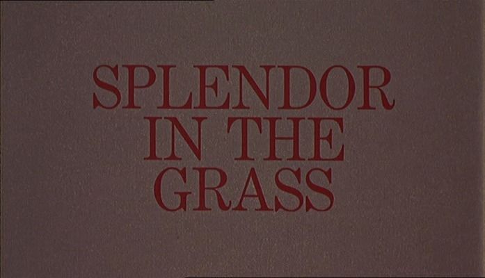 Title screen of Splendor in the Grass