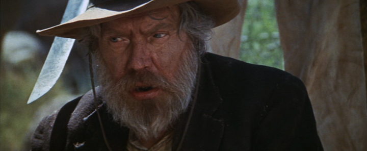 Shot from The Wild Bunch