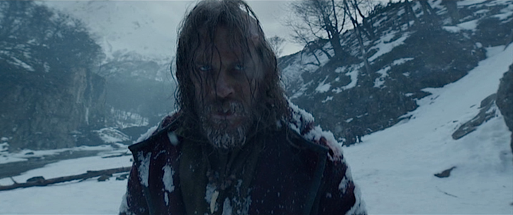 Shot from The Revenant