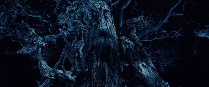Shot from The Lord of the Rings: The Two Towers