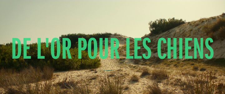 Title screen of De l'or pour les chiens