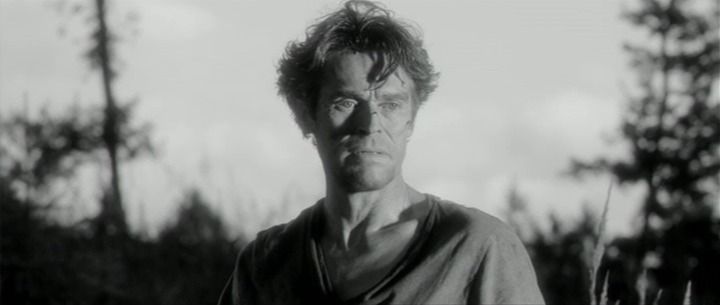 Shot from Antichrist