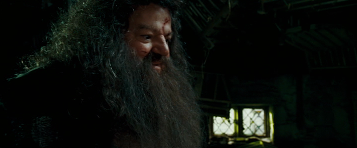 Shot from Harry Potter and the Order of the Phoenix