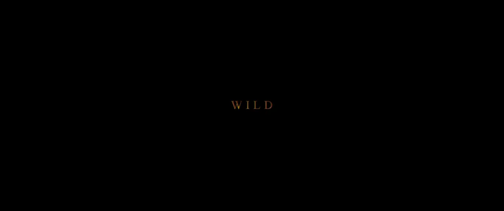 Title screen of Wild