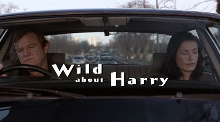 Title screen of Wild About Harry
