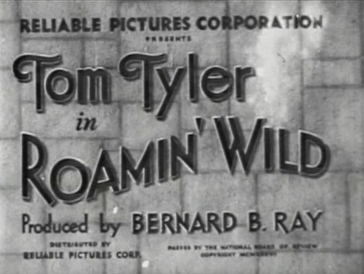 Title screen of Roamin' Wild