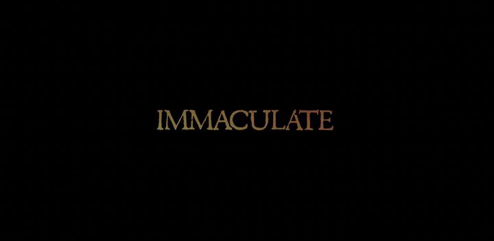 Title screen of Immaculate