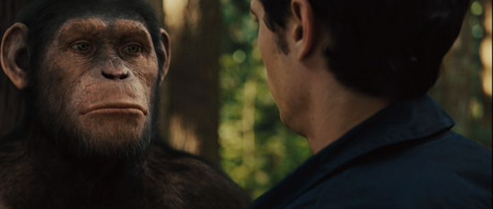 Shot from Rise of the Planet of the Apes