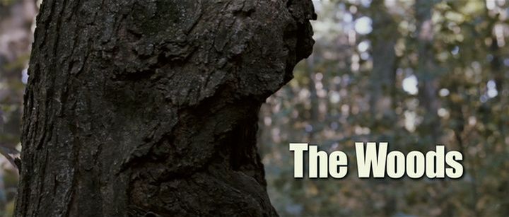 Title screen of The Woods