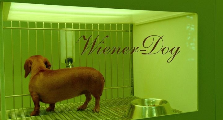 Title screen of Wiener-Dog