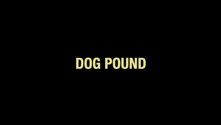 Title screen of Dog Pound