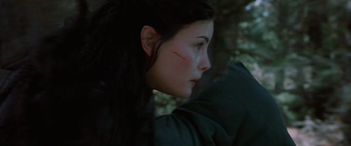 Shot from The Lord of the Rings: The Fellowship of the Ring