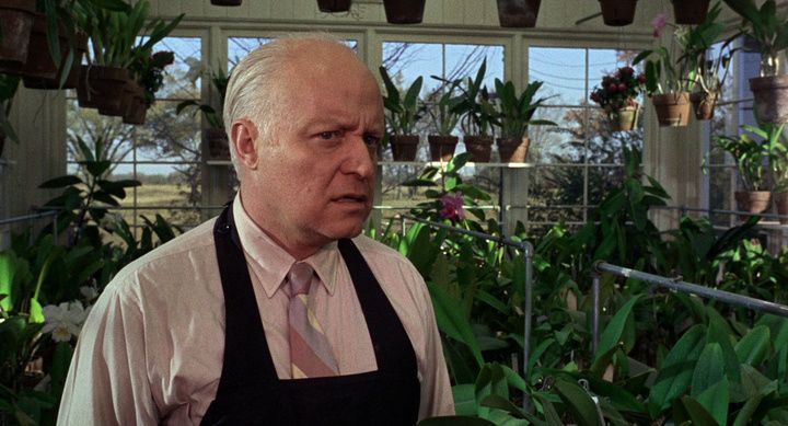 Shot from In the Heat of the Night