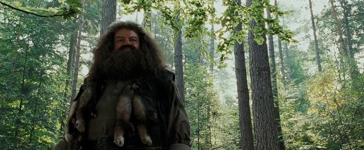 Shot from Harry Potter and the Prisoner of Azkaban